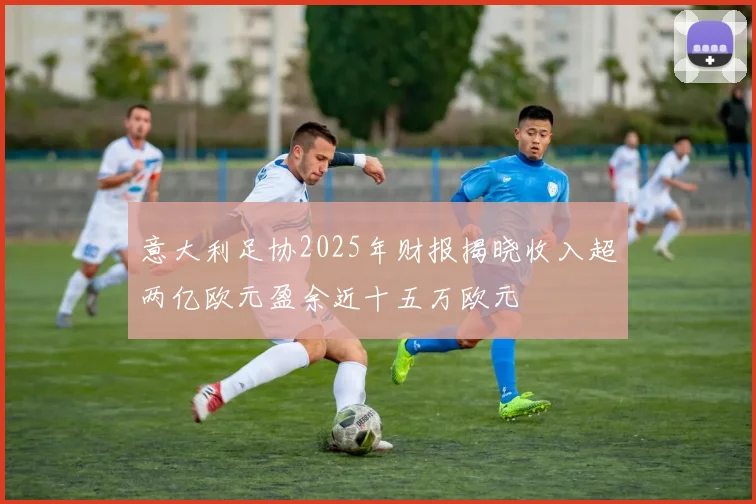 意大利足协2025年财报揭晓收入超两亿欧元盈余近十五万欧元